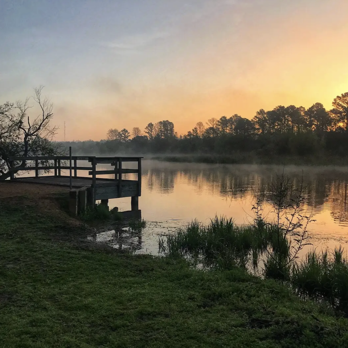Misty lake at sunrise with wooden dock